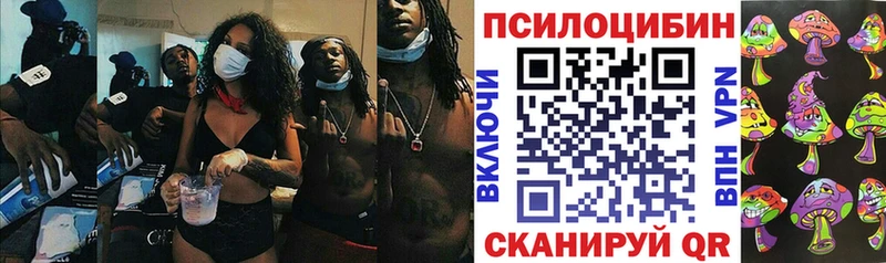 где продают Ильский Галлюциногенные грибы ЛСД